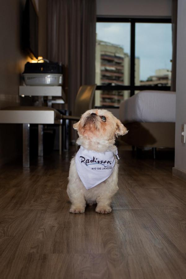 Radisson Barra Hotel 5*